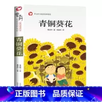 青铜葵花 [正版]青铜葵花曹文轩 四年级阅读课外书阅读小英雄雨来宝葫芦的秘密完整版老师下册儿童文学获奖作品 五年级课外书