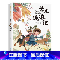 [彩色图案注音版]苦儿流浪记 [正版]国际大奖小说注音版全套10册 一年级阅读课外书阅读二三年级课外阅读书籍故事书老师系