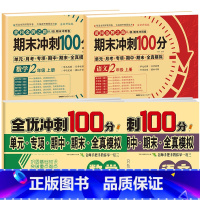 [全4册]语数试卷+语数全优冲刺卷 小学二年级 [正版]期末冲刺100分二年级上册语文数学试卷测试卷全套专项训练人教版小