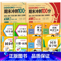 [全10册]语数试卷+语数同步训练+阅读理解+看图写话+同步练字帖+口算应用题+看拼音写词语+同步作文 小学二年级 [正