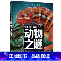 动物之谜 [正版]少年探索发现系列少儿科普书籍 你不可不知的兵器之谜 中国世界未解之谜大全集 中小学生科普读物少儿百科三