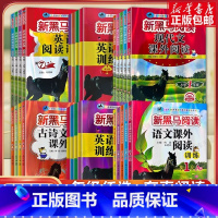 24版新黑马阅读丛书 现代文课外阅读 小学三年级 [正版]2024新版新黑马阅读一二三四五六1-6年级上下册语文英语阅读