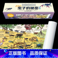100种虫子的秘密 [正版]墙书:100种虫子+动物+恐龙+植物的秘密儿童6-12岁小学生科普历史大全书英国剑桥大学墙书