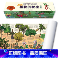 100种植物的秘密 [正版]墙书:100种虫子+动物+恐龙+植物的秘密儿童6-12岁小学生科普历史大全书英国剑桥大学墙书