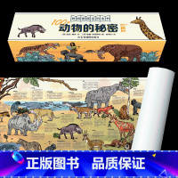 100种动物的秘密 [正版]墙书:100种虫子+动物+恐龙+植物的秘密儿童6-12岁小学生科普历史大全书英国剑桥大学墙书