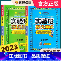 [人教版]语文+数学 一年级下 [正版]2023春新版一年级下册实验班提优训练小学1年级下语文数学全套人教版苏教版北师大