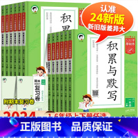 [下册]句式训练大全 小学一年级 [正版]2024春新版53小学基础练语文积累与默写三年级上册下册一年级二年级四年级五年