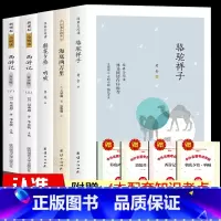 全5册 七年级上下册推荐阅读书[赠考点] [正版]赠考点 全套5册 骆驼祥子和海底两万里原著老舍 朝花夕拾呐喊鲁迅 西游