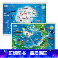 [正版]全新版儿童房挂图系列南极地区北极地区南极北极地图覆膜防水中国知识地图少儿地图装饰贴画儿童房间贴图初中小学生大小尺