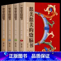 [正版]很美很美的烧脑书全4册 世界智力开发经典题 黄金题关键题1-4 小学生益智思维训练书 儿童数学逻辑思维启蒙脑力潜