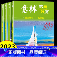 [全4册 ]意林20周年纪念版 [正版]意林高票好文20周年纪念书全套4册意林中考作文2023初中生高中范文精选美文意林