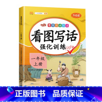 看图写话强化训练(上册) 小学一年级 [正版]斗半匠五感法看图写话写作文一年级二年级上册下册写作技巧方法好词好句好段素材