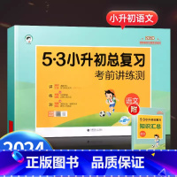 [23版单本]小升初语文总复习 小学升初中 [正版]2024新版53小升初真卷2023总复习全套语文数学英语人教版小学升