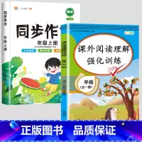 阅读理解+ 同步作文(上册) 小学五年级 [正版]斗半匠阅读理解专项训练书小学一年级二年级三年级四五六年级上册下册人教版