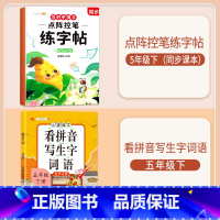 [五年级下册]练字帖+看拼音写词语 [正版]点阵控笔训练练字帖入门二年级下册同步练字帖小学生一年级练字帖每日一练写好中国