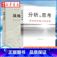 [正版]全2册分析与思考+战略与路径 黄奇帆的十二堂复旦经济课 从资本市场到货币制度解读中国经济发展 上海人民出版社 湖