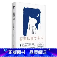 我是猫 [正版]单本任选9.5起 世界名著名作青少年中小学初高中阅读现当代文学 了不起的盖茨比纳兰容若词传呼兰河传乞力马