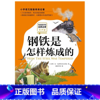 [正版] 钢铁是怎样炼成的 注音版有声版 写给孩子的经典名著 小学生一二三年级课外书籍6-12岁儿童睡前故事书籍 儿童文