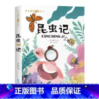 [彩色图案注音版]昆虫记 [正版]苦儿流浪记 彩绘注音版世界名着一年级阅读小学生课外书籍6-7-8-9-10岁儿童读物二