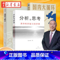 [正版]全3册战略与路径+分析与思考+国内大循环 中国经济发展新格局 黄奇帆的复旦经济课 阐述新发展格局下中国经济走向