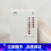 [正版]新发展格局与产业链提升战略