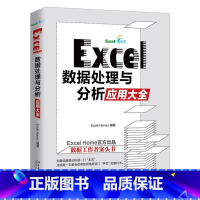 [正版]Excel数据处理与分析应用大全 9787301319345 北京大学出版社 ExcelHome书店书籍