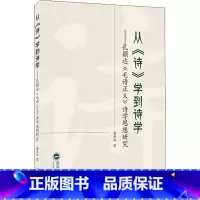 [正版]从《诗》学到诗学 孔颖达《毛诗正义》诗学思想研究