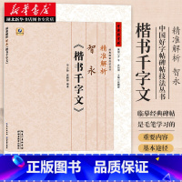 [正版]书店智永楷书千字文 精准解析 张鹏涛 中国好字帖碑帖技法丛书 历代碑帖精粹/毛笔/软笔/书法字帖笔法单字解读书籍
