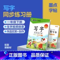 一年级下册(赠听写默写本) [正版]2024版字帖写字同步练习册一年级二年级三年级四年级五六七八九年级人教版上册下册笔顺