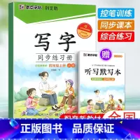 四年级上册(赠听写默写本) [正版]2024版字帖写字同步练习册一年级二年级三年级四年级五六七八九年级人教版上册下册笔顺