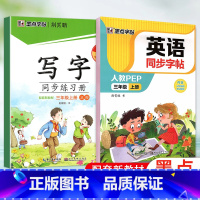 三上 (语文+英语) [正版]2024版字帖写字同步练习册一年级二年级三年级四年级五六七八九年级人教版上册下册笔顺语文生