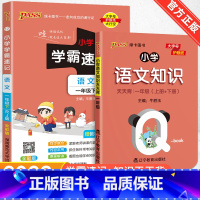 赠口袋书❤语文学霸速记+语文知识天天背 二年级下 [正版]2024新版小学学霸速记一二三四五六年级下册语文数学英语科学道