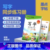 二年级下册(赠听写默写本) [正版]2024版字帖写字同步练习册一年级二年级三年级四年级五六七八九年级人教版上册下册笔顺
