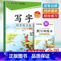 八年级上册(赠默写训练本) [正版]2024版字帖写字同步练习册一年级二年级三年级四年级五六七八九年级人教版上册下册笔顺