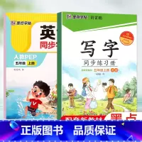 五上 (语文+英语) [正版]2024版字帖写字同步练习册一年级二年级三年级四年级五六七八九年级人教版上册下册笔顺语文生