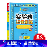 语文[人教版] 一年级下 [正版]2024新版 实验班提优训练小学一二三四五六年级上册下册语文数学英语全套书人教版北师大