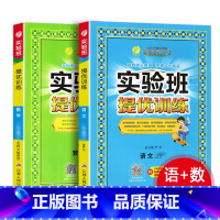 语文+数学[人教版] 一年级下 [正版]2024新版 实验班提优训练小学一二三四五六年级上册下册语文数学英语全套书人教版