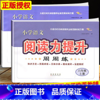 语文阅读力提升[六年级上册+下册] 小学通用 [正版]2024小学语文阅读力提升周周练 三四五六年级上册下册 阅读素养力