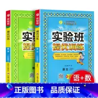语文+数学[人教版] 六年级下 [正版]2024新版 实验班提优训练小学一二三四五六年级上册下册语文数学英语全套书人教版