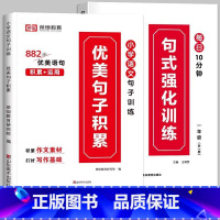 推荐[全2册]句式训练+优美句子 小学三年级 [正版]荣恒 小学语文句式强化训练扩句仿写组词造句照样子写句子强化训练一二