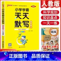 语文天天默写·人教版 四年级上 [正版]2023版小学学霸天天默写计算四年级上册下册语文数学英语人教版北师版苏教版pas