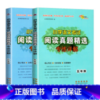 [5+6年级]语文阅读 组合 小学通用 [正版]2024新版小学语文考试阅读真题精选专练详解三四五六年级上下册阅读理解专