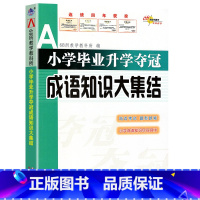 小学成语知识大集结 小学升初中 [正版]2023新版 小学毕业升学夺冠 名著知识文学常识 古诗文 成语 字词句训练 知