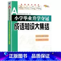 小学成语知识大集结 小学升初中 [正版]2023新版 小学毕业升学夺冠 名著知识文学常识 古诗文 成语 字词句训练 知