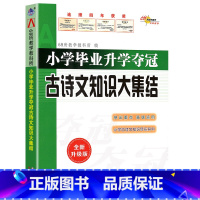 小学古诗文知识大集结 小学升初中 [正版]2023新版 小学毕业升学夺冠 名著知识文学常识 古诗文 成语 字词句训练