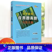 [六年级]数学应用题 真题 小学通用 [正版]2024新版小学语文考试阅读真题精选专练详解三四五六年级上下册阅读理解专项