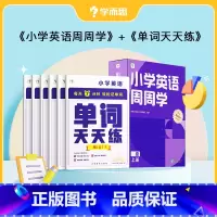 [英语]周周学+天天练 一年级上 [正版]2023小学数学语文英语天天练+周周学组合装配套影片思维培养智能参考书思维训练