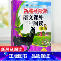 语文课外阅读训练A版 小学四年级 [正版]2023新版 新黑马阅读语文课外阅读训练小学4年级A版B版四年级上册下册阅读理