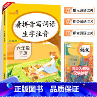 6下-看拼音写词语 小学通用 [正版]乐学熊小学生看拼音写词语生字注音一二三四五六年级上下册语文专项训练彩绘版同步训练题