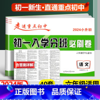 必刷卷[语文] 小学升初中 [正版]2024新版初一入学分班必刷卷拔尖卷语文英语数学 小学六年级上下册走进重点初中初一七
